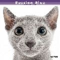 ロシアン・ブルー カレンダー