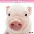THE PIG　カレンダー
