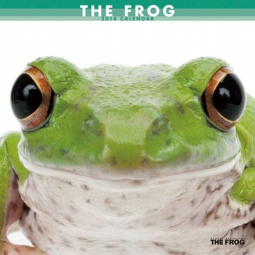 THE FROG@J_[