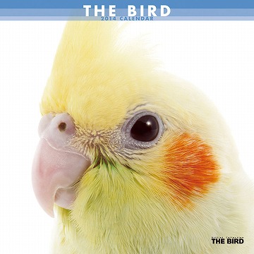 THE BIRD@J_[