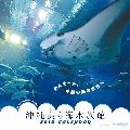 沖縄美ら海水族館 カレンダー